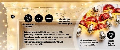 Girlanda świetlna z grzybkami 10 LED dł. 1,65 m promocja w Netto