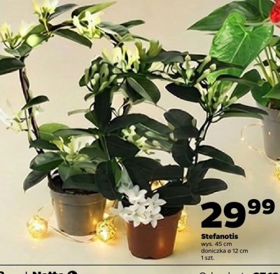 Gazetka Spożywcza, strona 7 promocja w Netto