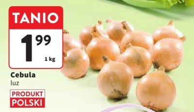 Cebula luz Intermarche promocja w Intermarche