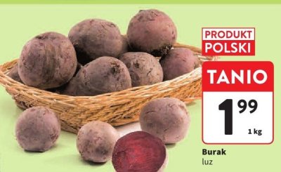 Burak luz promocja w Intermarche