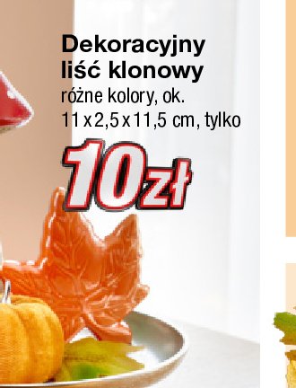 Liśc klonowy 11 x 2.5 x 11.5 cm promocja