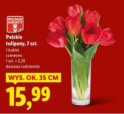Polskie tulipany bukiet 7 szt. promocja w Lidl