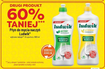 Płyn do mycia naczyń Ludwik miętowy promocja w POLOmarket