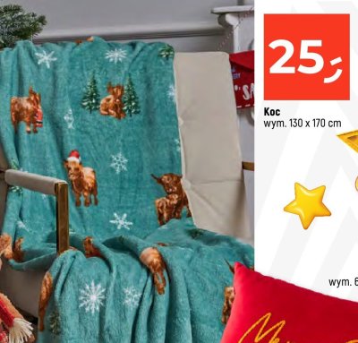 Koc mikołajkowy 130 x 170 cm promocja w Dealz