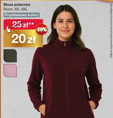 Bluza polarowa damska różne kolory promocja w Woolworth