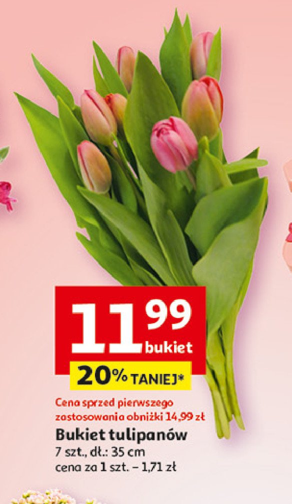 Bukiet tulipanow promocja