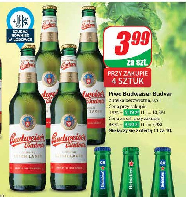 Piwo b: original Budweiser budvar promocja w Dino