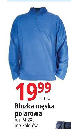 Bluza męska polarowa rozm. m-2xl promocja w Woolworth