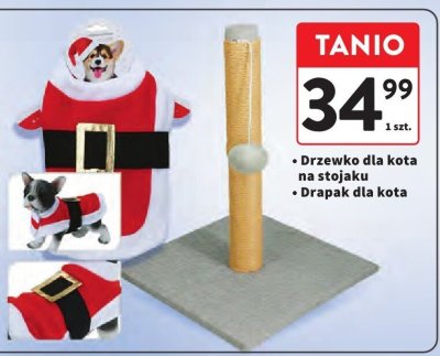 Drapak dla kota promocja w Intermarche