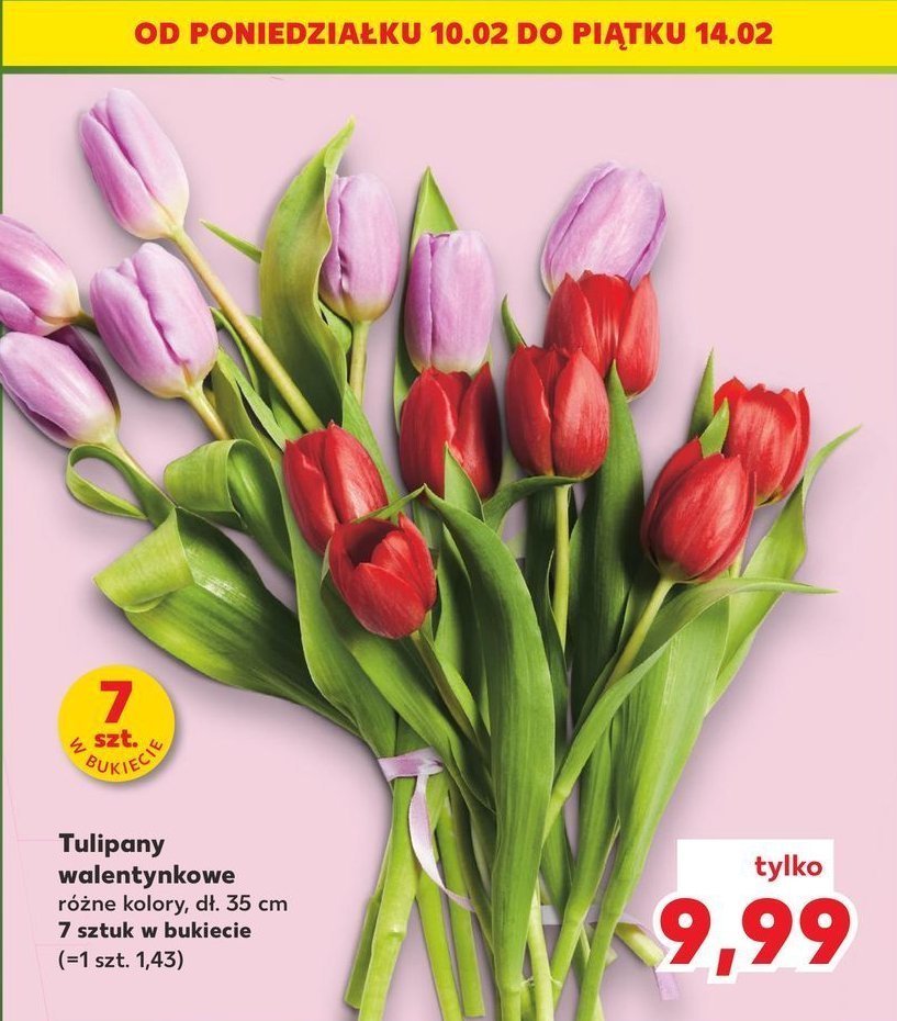 Tulipany bukiet 35 cm promocja w Kaufland