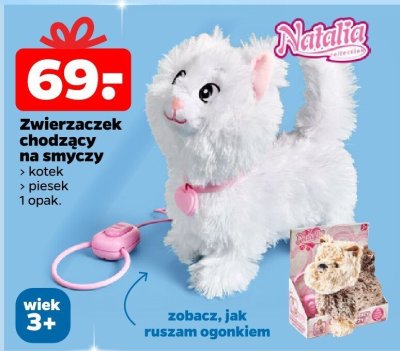 Zwierzaczek chodzący na smyczy piesek promocja w Netto