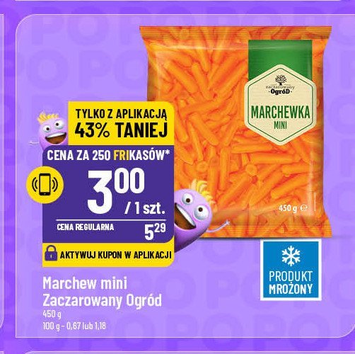 Marchew mini Zaczarowany ogród promocja