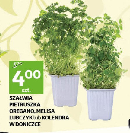 Melisa promocja