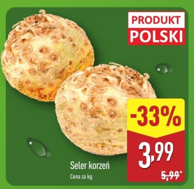 Seler korzeń promocja w Aldi