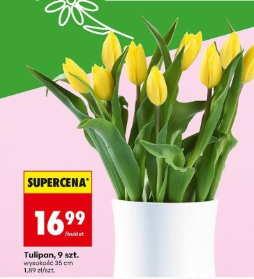 Od czwartku, Z ladą tradycyjną, strona 17 promocja w Biedronka