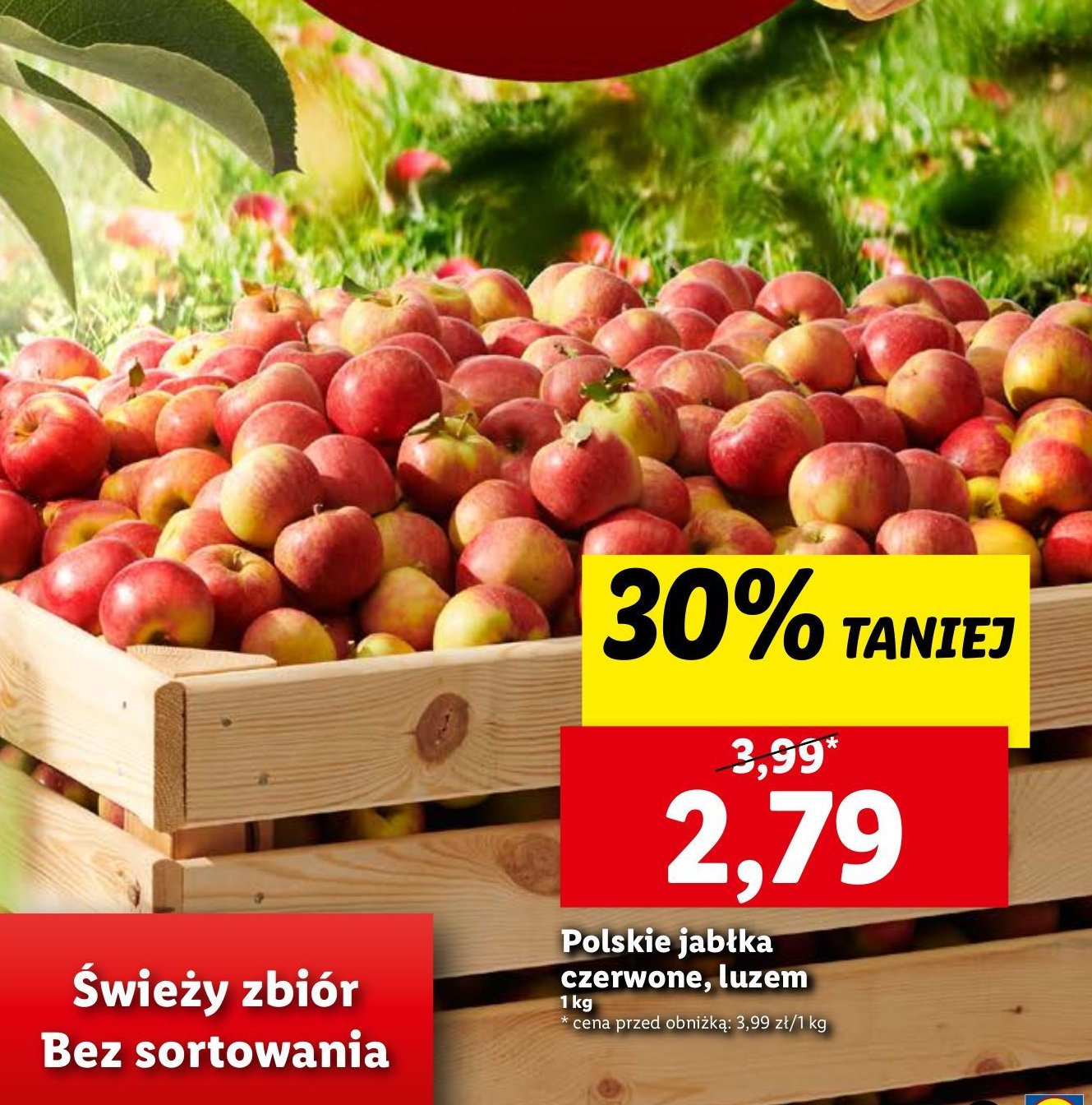 Jabłka czerwone promocja