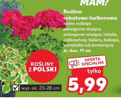 Bakopa promocja