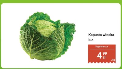 Kapusta włoska luz promocja w Dino