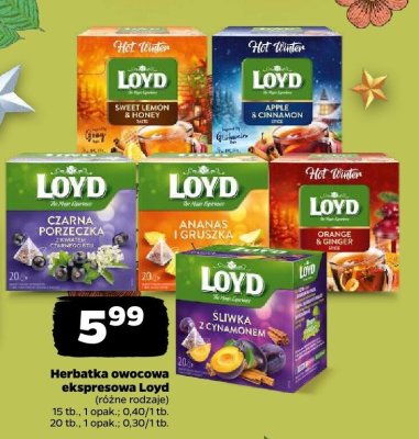 Herbatka owocowa ekspresowa Loyd (różne rodzaje) promocja w Netto