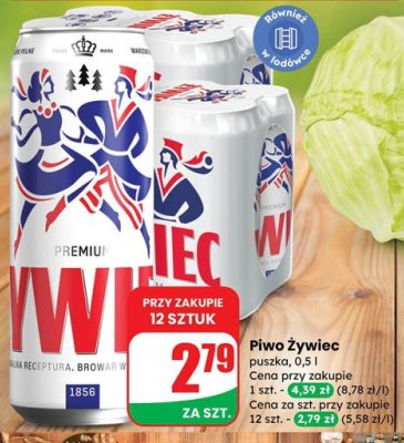 Piwo Żywiec promocja