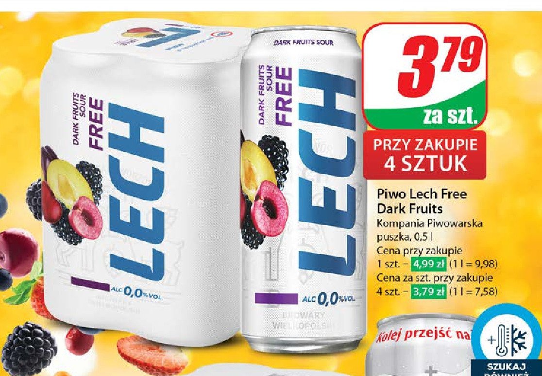 Piwo Lech free dark fruits sour promocja w Dino