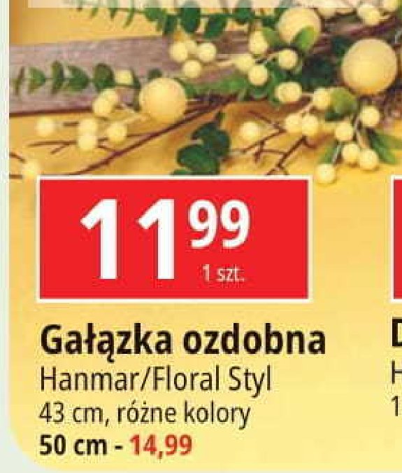 Ga艂膮zka ozdobna 50 cm. Hanmar promocja