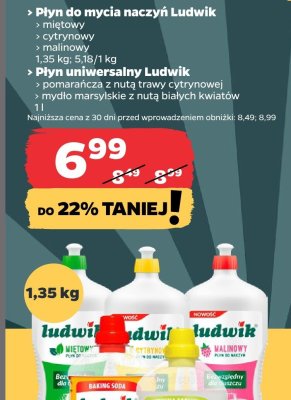 Płyn do mycia naczyń, różne rodzaje Ludwik promocja w Netto
