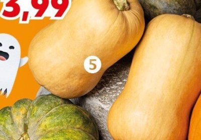 Dynia promocja w Kaufland