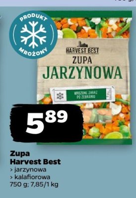 Zupa jarzynowa promocja w Netto