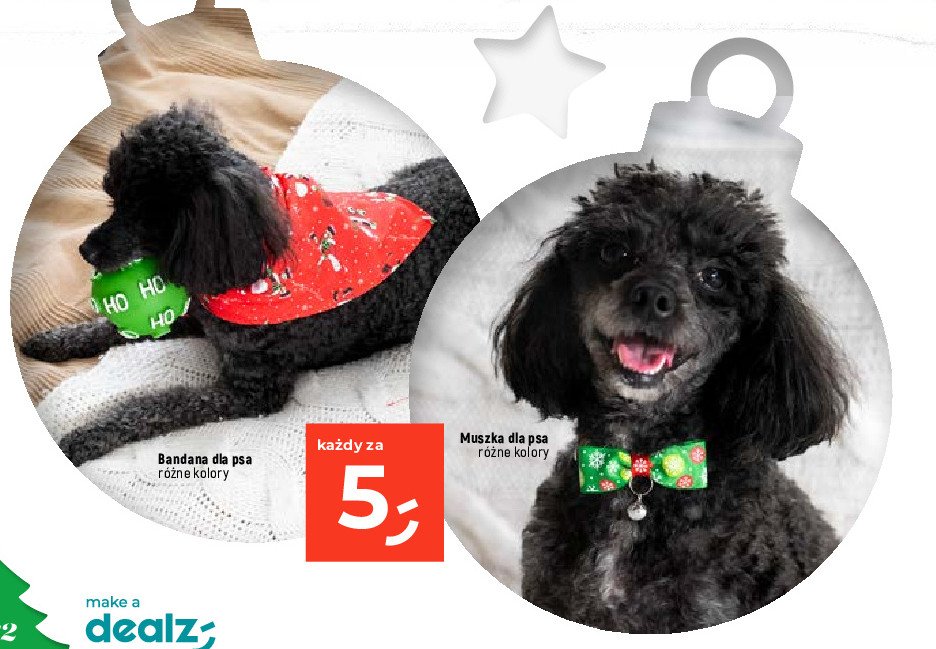 Bandana dla psa promocja