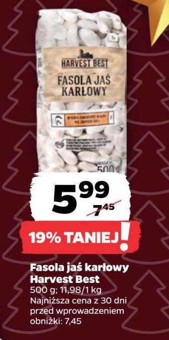 Fasola jaś karłowy Harvest best promocja