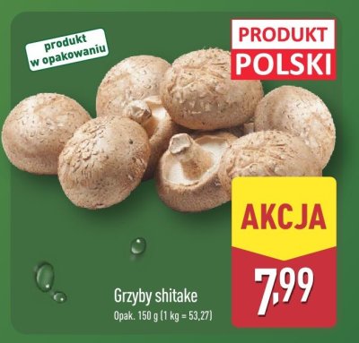 Grzyby shitake Aldi promocja w Aldi