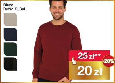 Bluza męska promocja w Woolworth