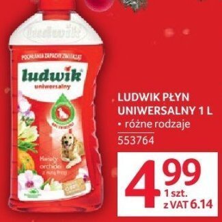 Płyn uniwersalny Ludwik 1 L promocja w Selgros