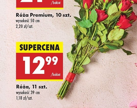 Róża 39 cm promocja w Biedronka