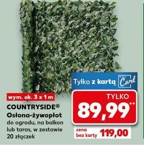 Osłona żywopłot 300 x 100 cm K-classic countryside promocja w Kaufland