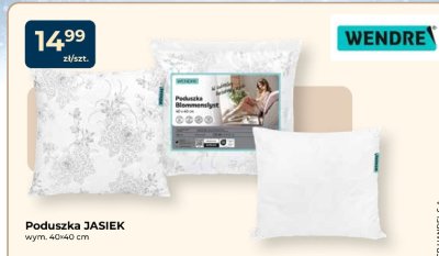Poduszka JASIEK WENDRE 40x40 cm promocja w PSB Mrówka