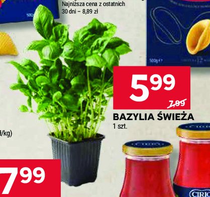 Bazylia promocja