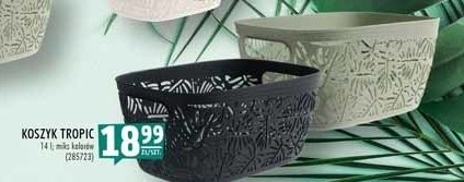 Koszyk tropic 14 l promocja