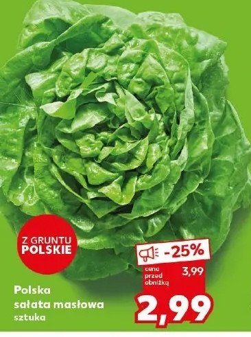 Sałata masłowa polska promocja