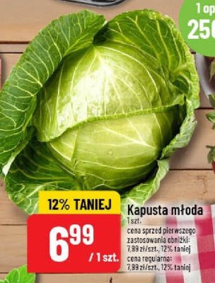 Kapusta młoda promocja w POLOmarket
