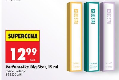 Perfumetka, 15 ml różne rodzaje Big Star promocja w Biedronka