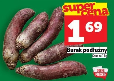 Burak podłużny promocja w TOPAZ