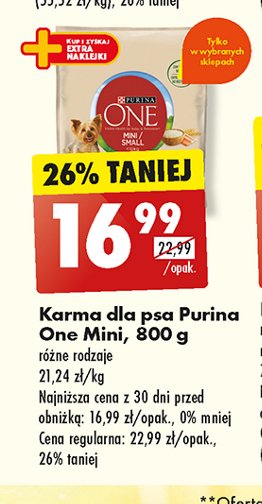 Karma dla psa adult mini wołowina i ryż Purina one promocja