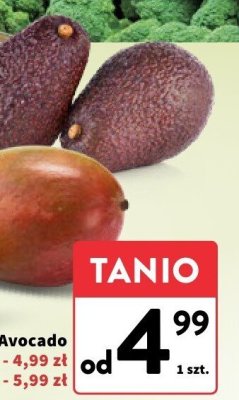 Awocado Hass 1 szt. promocja w Intermarche