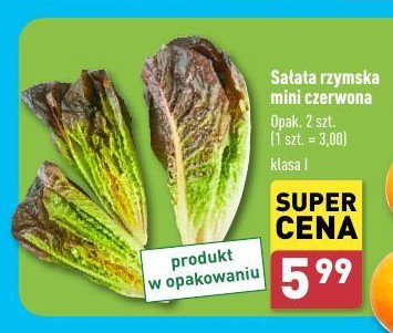 Sałata rzymska mini czerwona promocja