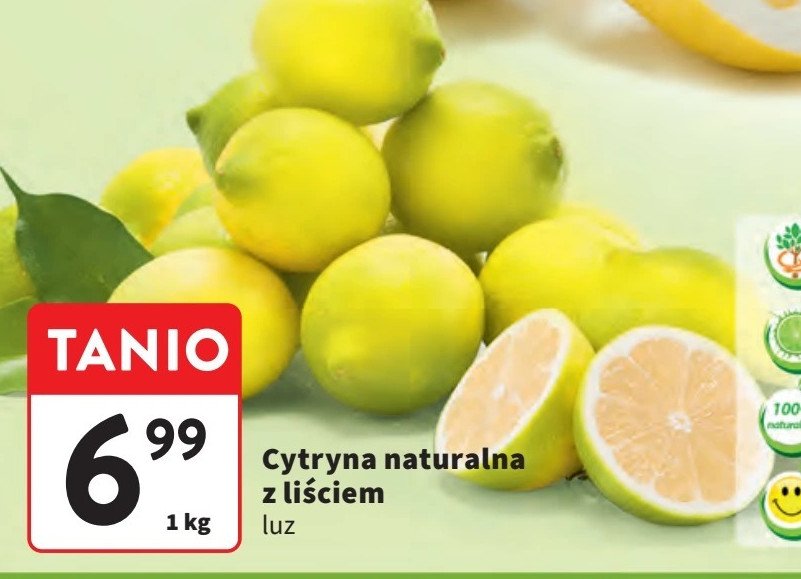 Cytryna z liściem promocja