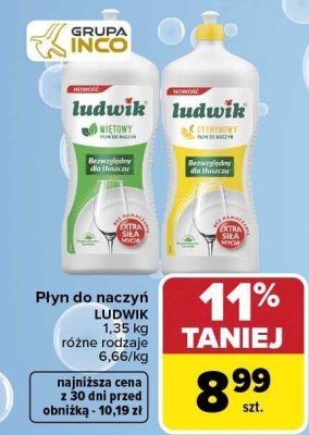 Płyn do naczyń 1,35 kg, różne rodzaje LUDWIK promocja w Carrefour Market