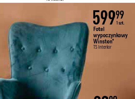 Fotel winston Ts interior promocja