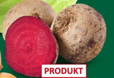 Burak czerwony podłużny promocja w Netto